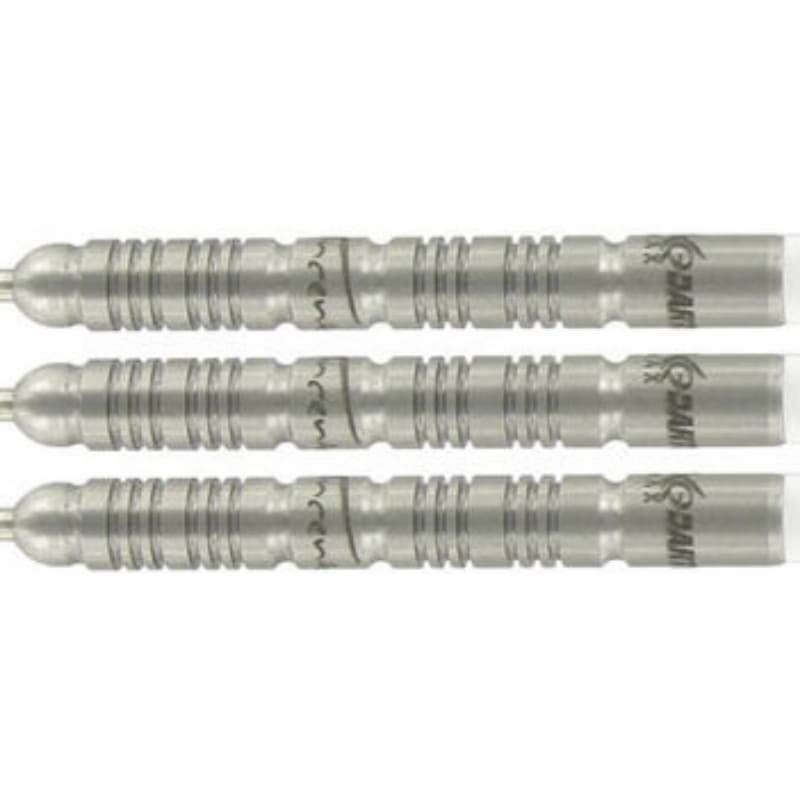 Vincent van der Voort XQ dart barrels
